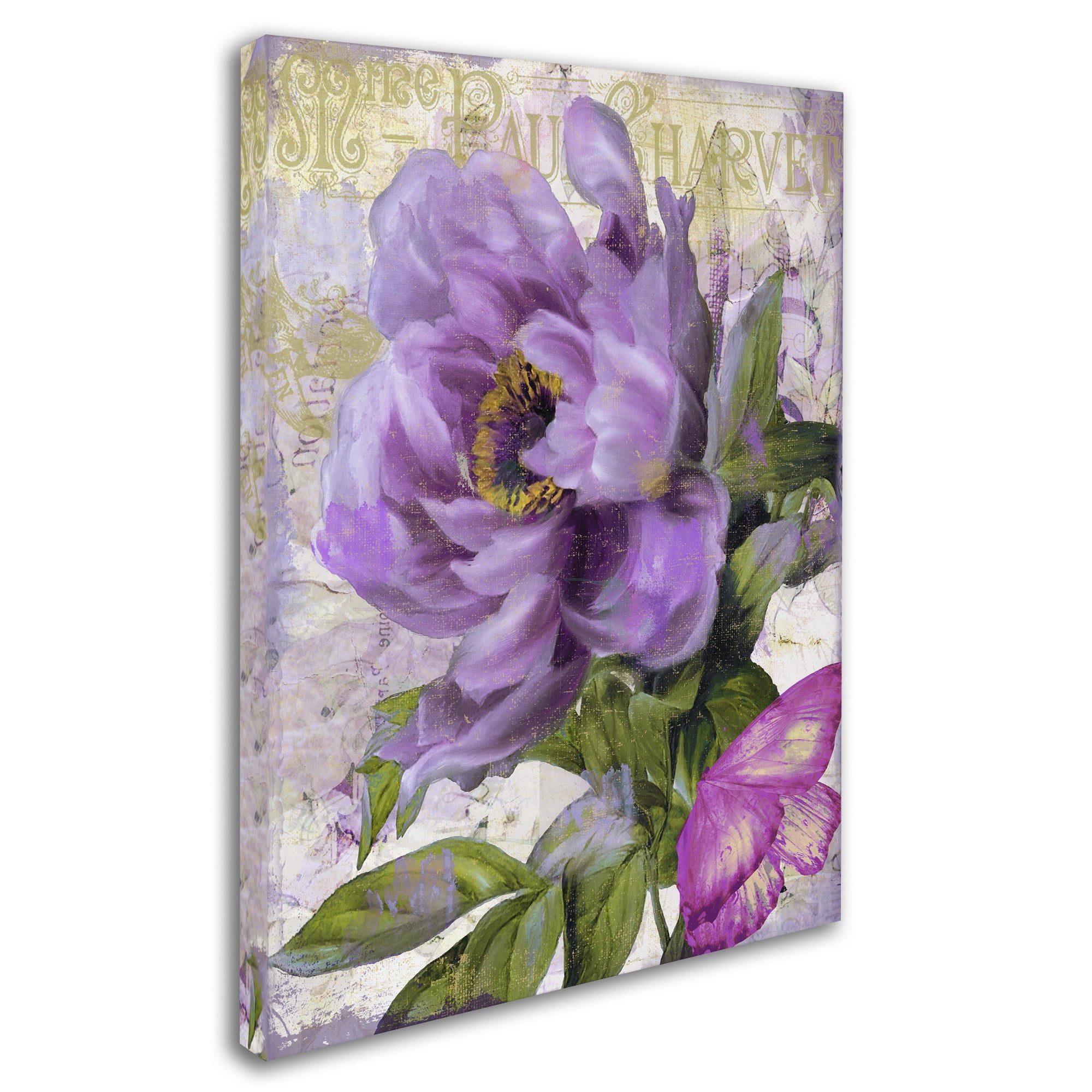 Trademark Fine Art "July" Canvas Art by Color Bakery