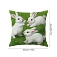 thumbnail image 3 of BAOPAI Easter Pillowcase Short Fleece Material Comfortable Touch Homee Decor for Living Room Bedroom Sofa, 3 of 6