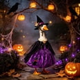 thumbnail image 4 of 23 Inch Halloween Goose Costume, Witch Cape & Hat Set for Porch Decor for Halloween Thanksgiving, Yard Garden Ornament, 4 of 8