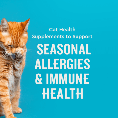 Vet IQ Allergy Pro+ Health Supplement for Cats, Chicken Flavored Crunchy Chews, Approx. 30 Day Supply