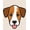 Brown, Pattern 1, variant on ODIKA 2x3 Machine Washable Non-Slip Area Rug, Beagle Face Illustrated Bathroom Slip Resistant High Traffic Rug, Brown, 728918