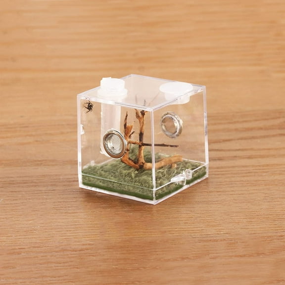CRAPELLES Jumping Spider Micro 2x2x2.1 inches Cube Habitat, Small Pet Insect Breeding Box