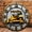 Caterpillar, variant on 12 Inch Wall Clock, King Live Clock Wooden Round Wall Clocks with Silent Non-Ticking Quartz Movement, Battery Operated, Art Decor Hanging Clock for Kitchen, Bathroom, Bedroom, Living Room