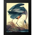 thumbnail image 2 of Audubon, John James 15x18 Black Modern Framed Museum Art Print Titled - Great Blue Heron, 2 of 5