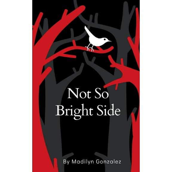 Not So Bright Side, (Paperback)