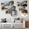 thumbnail image 4 of Designart "Seashell Sonata Beach Photo II" Nautical & Beach Metal Art Print, 4 of 5
