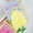 Yellow, variant on ZIEUO Adorable Pet Clothes for Cats & Small Dogs - Charming Spring & Autumn Wear Candy Colored Dress