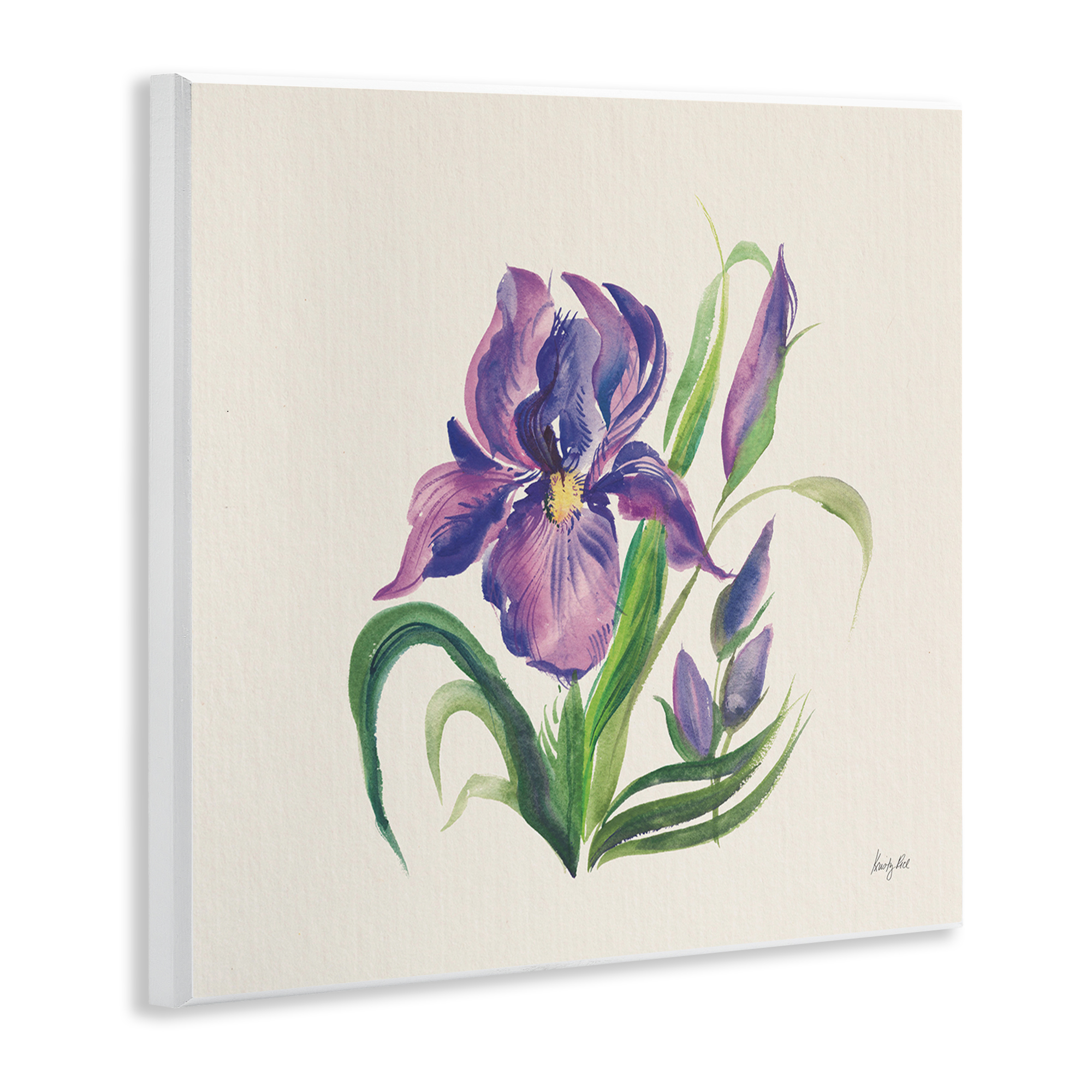 Stupell Industries Purple Iris Flower Botanical & Floral Painting Unframed Art Print Wall Art, 12 x 12