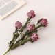thumbnail image 5 of Ramo de Rosas de Espuma Vintage - 5 Cabezas de Flores Artificiales Enrolladas, 48 Cm, Flexibles, Decoración Realista para Bodas y Hogar En Blanco, Rosa, Rojo y Café., 5 of 6