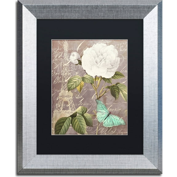 Trademark Fine Art "White Rose" Canvas Art by Color Bakery, Black Matte, Silver Frame