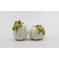 thumbnail image 2 of Ceramic White Pumpkin Salt and Pepper Shakers Gift Set, 2 of 4