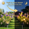thumbnail image 3 of Rirool 2-Pack Purple Solar Peony Flower Garden Stake Lights, Warm White LED Outdoor Waterproof Decorative Lights with Auto On/Off for Yard Lawn Patio Pathway Walkway Flower Bed Decor, 3 of 8