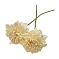 thumbnail image 2 of Fake Flowers, Artificial Flowers, Artificial Wildflowers for Summer Wedding, for Dining Table Centerpiece Living Room Home Decor Vase Arrangement Mother's Day Gift, AKLJWH - #17 Beige-2Pcs, 2 of 7