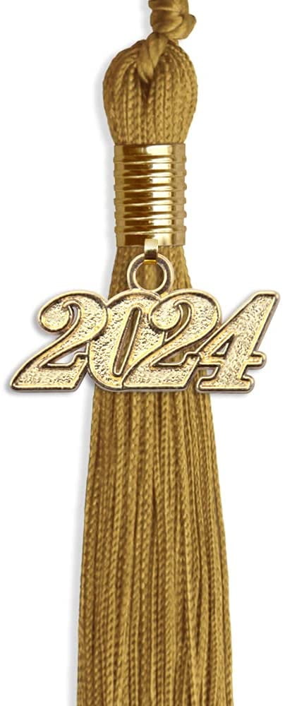 Grevosea 2 Pieces Graduation Tassel 2024 Graduation Tassel Graduation Party  Decorations Graduation Cap Tassel with The 2024 Year Gold Charms for 2024