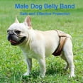 thumbnail image 1 of Male Dog Belly Band Pet Diaper Washable Wrap Waterproof Toilet Training Dog Physiological Pant, 1 of 5