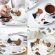 thumbnail image 4 of 1 Set Ceramic Mug Cup Adorable Cat Design Water Cup Saucer for Home Office, 4 of 4