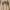 1-Beige, variant on Fall Sweatshirts for Women 2025 Los Angeles Sweatshirt Long Sleeve Crewneck Sweatshirt Pullover Tops