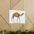 thumbnail image 6 of Majestic Camel Art Majestic Camel Print Animal Wall Art Wildlife Canvas Prints Wall Art Ready to Hang Unframed, 6 of 18