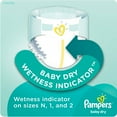 thumbnail image 5 of Pampers Baby Dry Diapers Size 2 Bonus Pack 120 Count, 5 of 10