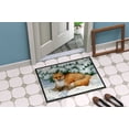 thumbnail image 2 of Carolines Treasures ASA2184MAT Tapis Intérieur Ou Extérieur Winter Fox- 18 x 27, 2 of 4