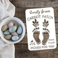 thumbnail image 3 of Carrot Patch Stencil 11.7x8.3 inch Locally Grown Carrots Farm Sign Stencil Foot Print Stencil Plastic Farm Fresh Carrot Painting Stencil Reusable Stencil for Home Yard Farm Decor, 3 of 7