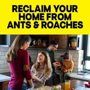 Raid Ant & Roach Insect Killer, Lemon Scent Bug Spray, Insect Spray, 17.5 oz