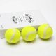 thumbnail image 3 of Pelota de tenis gigante de gran tamaño de 6,5 cm, pelota de tenis para perros, juguete masticable para mascotas grandes para deportes al aire libre/interior, pelota para perros, regalo con a, 3 of 5