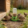 thumbnail image 7 of Reptile Automatic Waterer, 2-in-1 Water Dispenser and Food Bowl for Terrariums, Water Bottle Feeder for Small Lizards/Geckos/Turtles/Tortoises Habitat A, 7 of 7