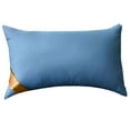 thumbnail image 2 of Feather Velvet Hotel-grade Pillow Core Soft And Supportive Down Bed Pillow Suitable for Back Side And Stomach Sleepers Made Of Skin-friendly Cotton Fabric, Blue, 2 of 7