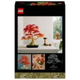 thumbnail image 4 of Set LEGO Botanicals Bonsái de Arce Rojo Japonés, 4 of 4