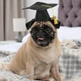 thumbnail image 7 of 2025 Pet Graduation Cap â Adjustable Black Doctoral Hat with Tassel for Small & Medium Dogs/Cats, Photo Prop & Party (Polyester), 7 of 7