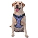 thumbnail image 1 of Fotbe Beautiful Koi Fish Arnés para Perro con Estampado –Chaleco Ajustable Acolchado con Asa de Control para Perros Grandes-Medium, 1 of 6