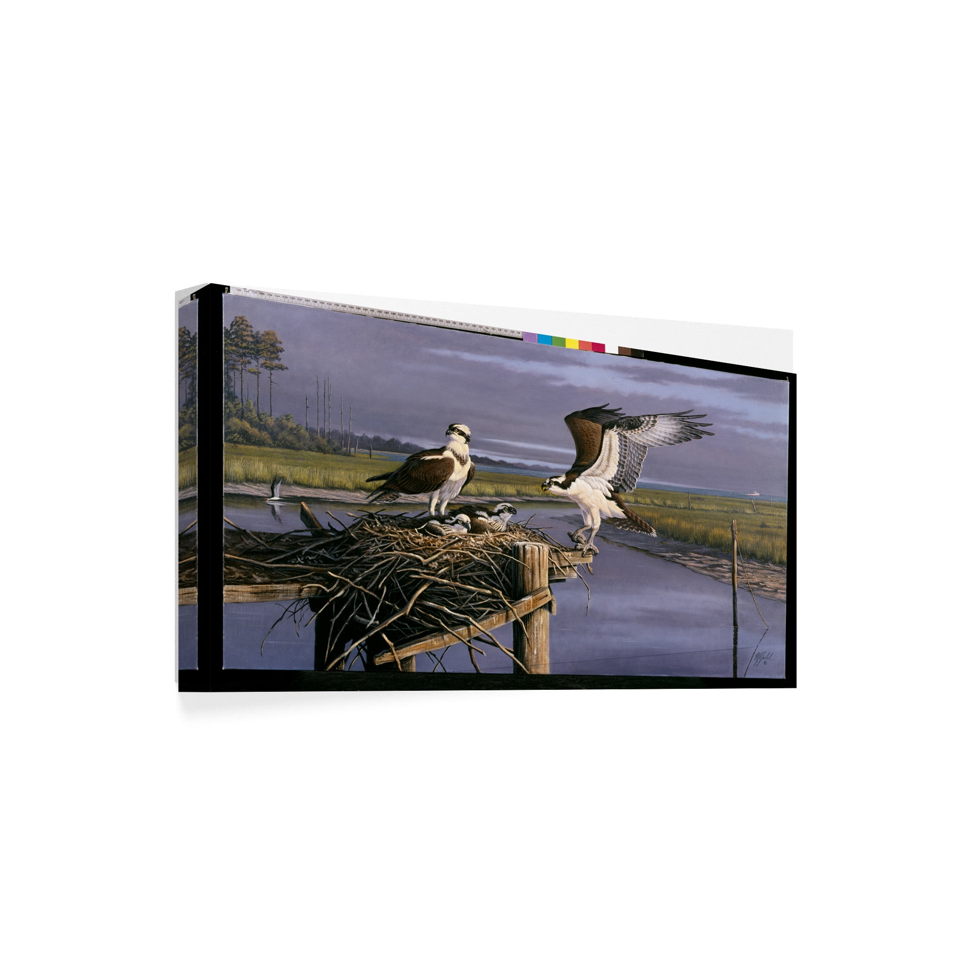 Trademark Fine Art 'Chesapeake Treasurers Osprey' Canvas Art by Wilhelm Goebel