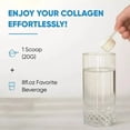 thumbnail image 4 of Sandhu's Collagen Peptides, Péptidos De Colágeno 140g…, 4 of 4