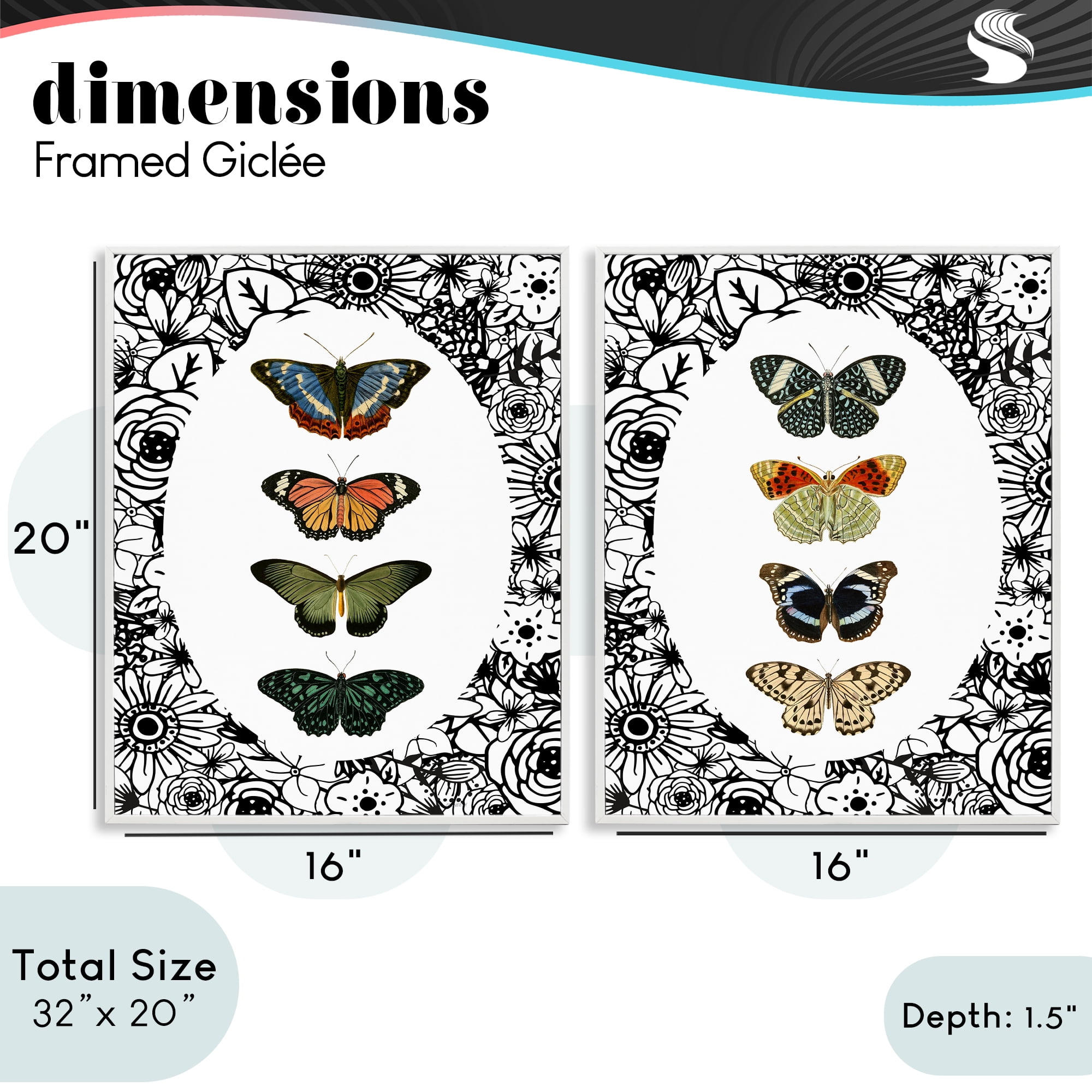 Stupell Industries Floral Butterflies Lineup 2 Piece White Framed Giclee Art Set, design by Dan Meneely