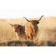thumbnail image 2 of Van Den, Jaap 32x23 White Modern Wood Framed Museum Art Print Titled - Young and old Highlander, 2 of 4