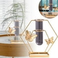thumbnail image 2 of Modern Gold Metal Frame Hydroponic Vase - Heart Shaped Glass Planter with Butterfly Accents, Unique Tabletop Terrarium for Wedding Centerpieces & Home Office Decor, 2 of 7