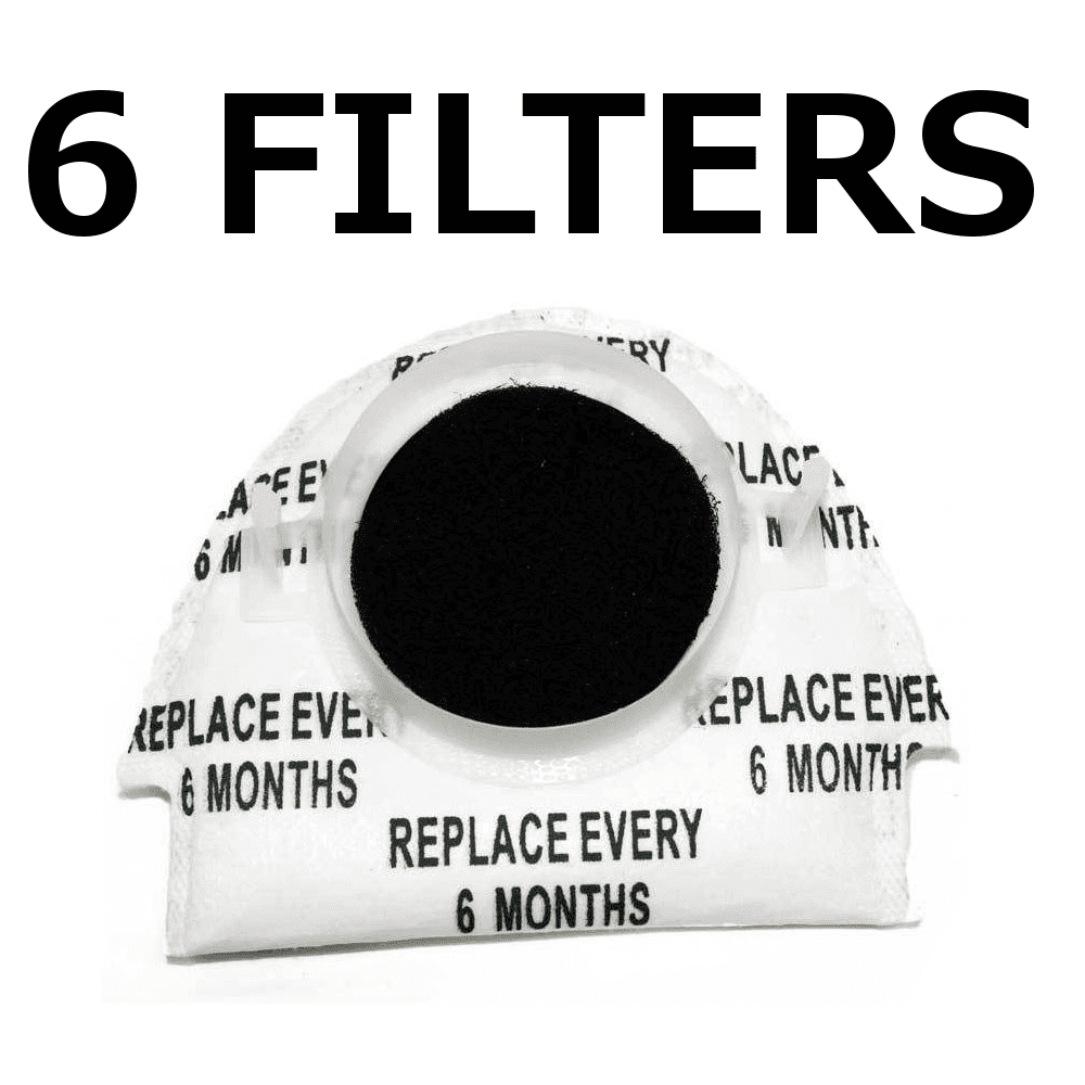 6 Exhaust Rear After Filter for Tristar 
