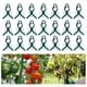 thumbnail image 3 of Clips de Soporte para Plantas, Clips de Soporte para Plantas Clips para Plantas Trepadoras, Clips de Jardín Clip de Fijación de Vid Clip de Vid para Plantas S, 3 of 7