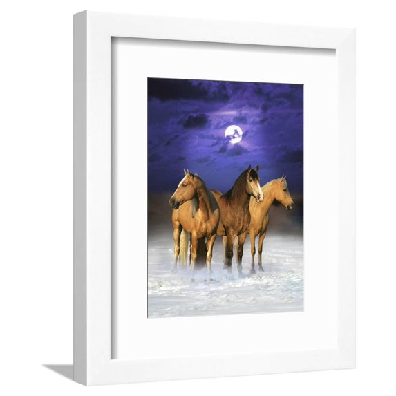 Dream Horses 077, Animals Framed Art Print Wall Art by Bob Langrish Sold by Art.Com