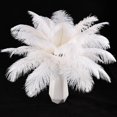thumbnail image 1 of Craft Feathers THARAHT Avestruz, 24 unidades, 25-30 cm, color blanco, 1 of 7