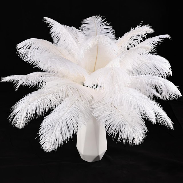 Craft Feathers THARAHT Avestruz, 24 unidades, 25-30 cm, color blanco