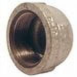 BK Products Malleable Iron Galvanized Plumbing Cap - Durable - 0.25 In