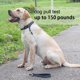 thumbnail image 4 of Correa para perros, disponible para adiestramiento en salidas, paseos al aire libre, etc., 4 of 5