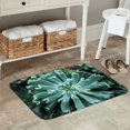 thumbnail image 7 of Gukieu Teal Cactus Print Dust-proof Floor Mats, Water-absorbent and Non-slip Flannel Door Mats 16x24in, Home Decoration Suitable for Kitchen, Bathroom, Garage, 7 of 7