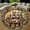 Thanksgiving Table 1, variant on Round Area Rug, Greece Parthenon Non-Slip Floor Mat, Soft Washable Carpet for Living Room Bedroom Decor 24 Inch