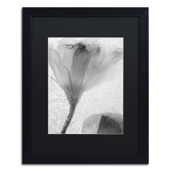 Moises Levy 'Flowers on Ice-13' Black Matted Framed Art