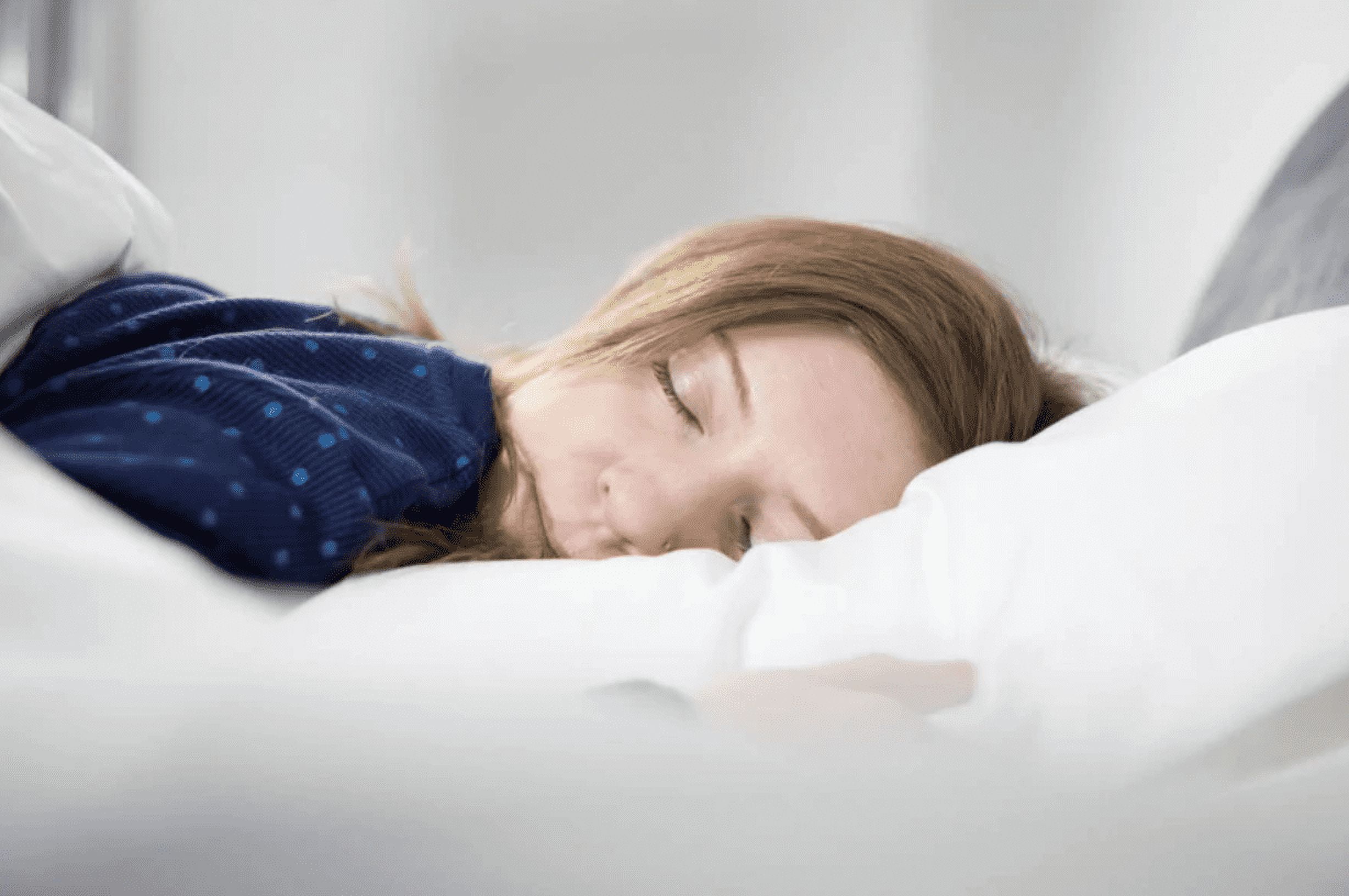 Pillowtex Luxury Core Down and Feather Standard Sized Pillow