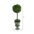 thumbnail image 2 of Vickerman 21" Artificial Green Boxwood Topiary., 2 of 3