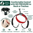 thumbnail image 4 of Sporn Original Training Halter, Small Dog Harness No Pull for Small Sized & Toy Breeds, 4 of 6
